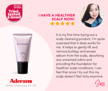 Load image into Gallery viewer, Benefage Scalp Cleansing EX V5